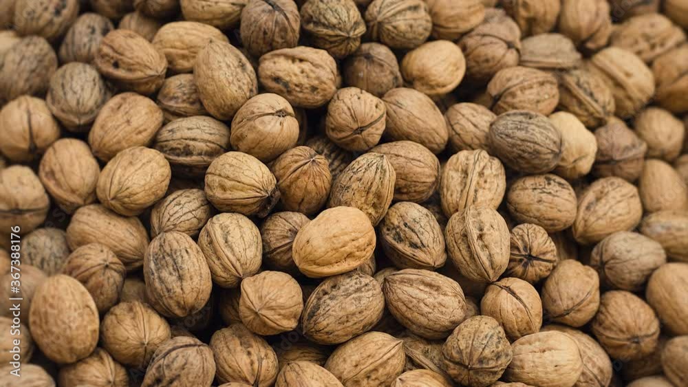 Walnuts, Unpeeled Greek Nuts, Harvest Of Walnuts Walnuts, Unpeeled Greek Nuts, Harvest Of Walnuts