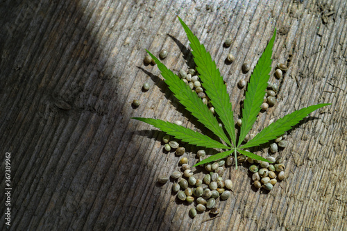 Green cannabis leaf and seeds on wooden background. Vegetarian food concept photo