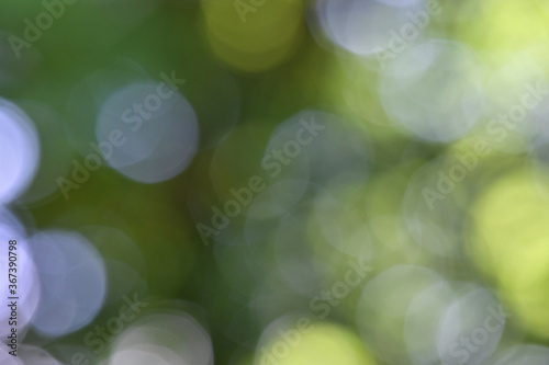 Helle Lichtpunkte von einem Bokeh vor grünem Hintergrund aus Bäumen in der Natur mit abstraktem Erscheinungsbild