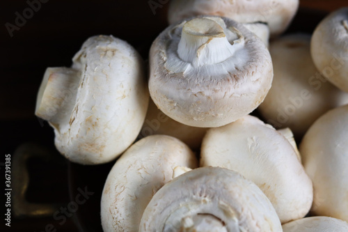 Champignons