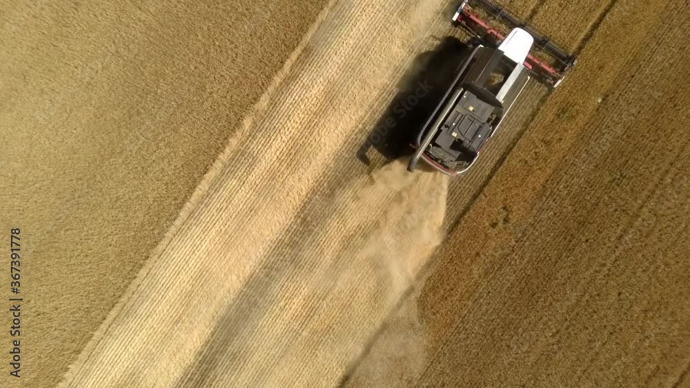 Combines in the field. Aerial view of harvesters. Season of gathering crops. Rye and barley. B-roll footage Combines in the field. Aerial view of harvesters. Season of gathering crops. Rye and barley. B-roll footage