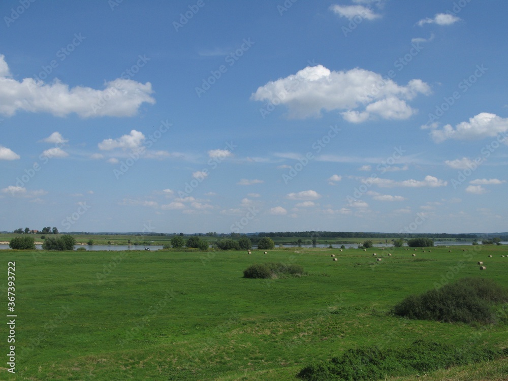 Green pastures in Vistula basin - countryside landscape with blue sky, green grass and blue river near Tczew, Poland