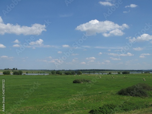 Green pastures in Vistula basin - countryside landscape with blue sky, green grass and blue river near Tczew, Poland