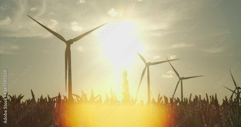 The production of ecological energy with the help of wind turbines standing in a wheat field at sunset. Wind Power Turbine Generating Clean Renewable Energy for Sustainable Development.