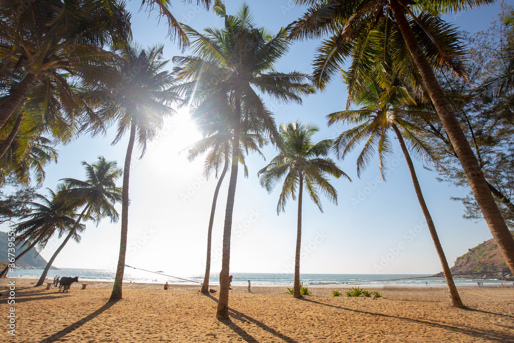 Idyllic Beach near Goakarna town - palms and Indian Ocean Idyllic Beach near Goakarna town - palms and Indian Ocean