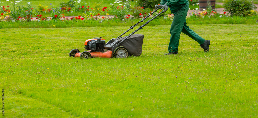 Banner. A human lawn mower mows the grass with a lawn mower in the backyard. Agricultural machinery: lawn mower for cutting grass. The care of the garden. Gardening background. - obrazy, fototapety, plakaty 