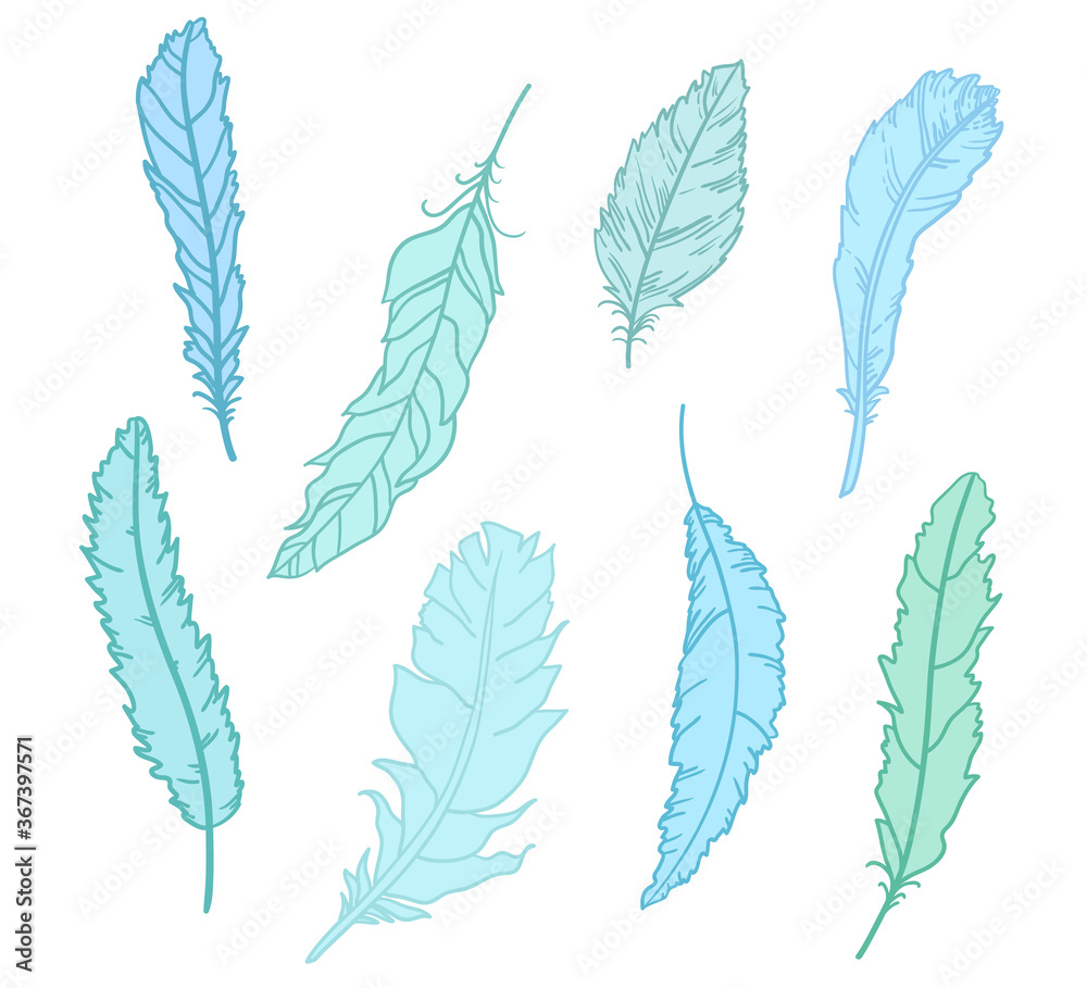 Feather. Design of colored feathers. Hand drawn elements on white background