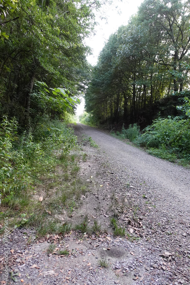 Fototapeta premium Mountain Road