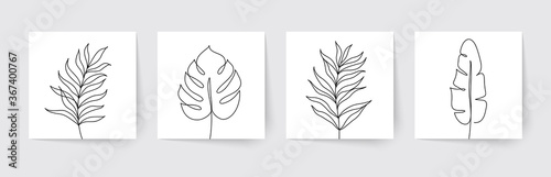 One line drawing of tropical palm leaves. Modern single line art. Vector illustration.