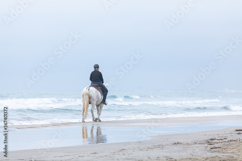 woman on a horse on the beach