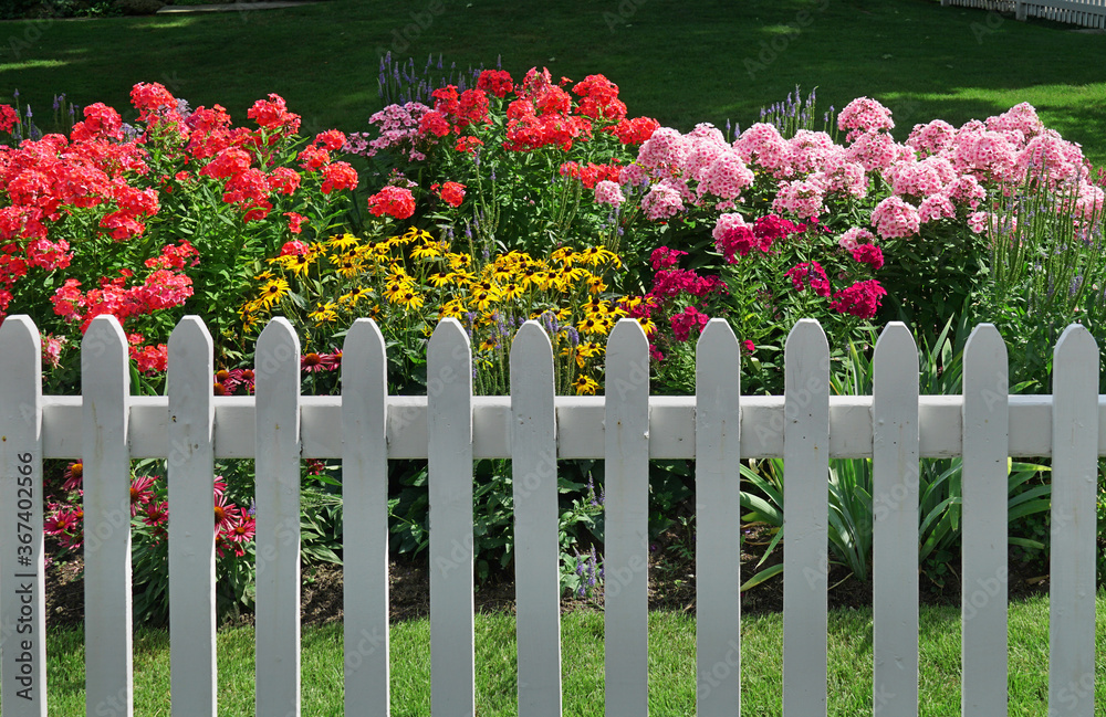 colorful summer flowers behind white picket fence colorful summer flowers behind white picket fence
