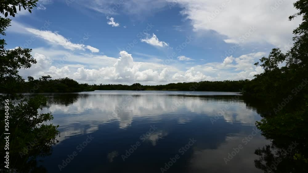 Timelapse of cumulus clouds forming over Paurotis Pond in Everglades National Park, Florida in summer 4K. Timelapse of cumulus clouds forming over Paurotis Pond in Everglades National Park, Florida in summer 4K.