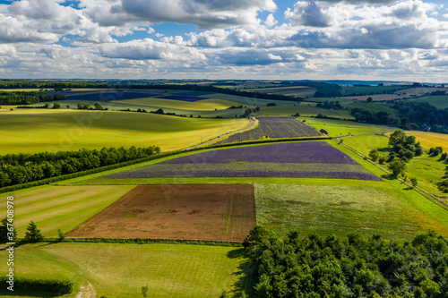 Aerial view of purple lavender fields