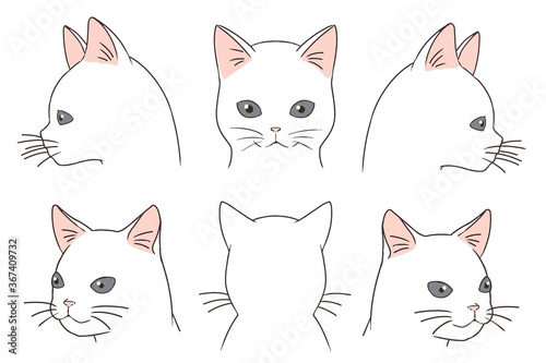 顔アップネコ 白猫