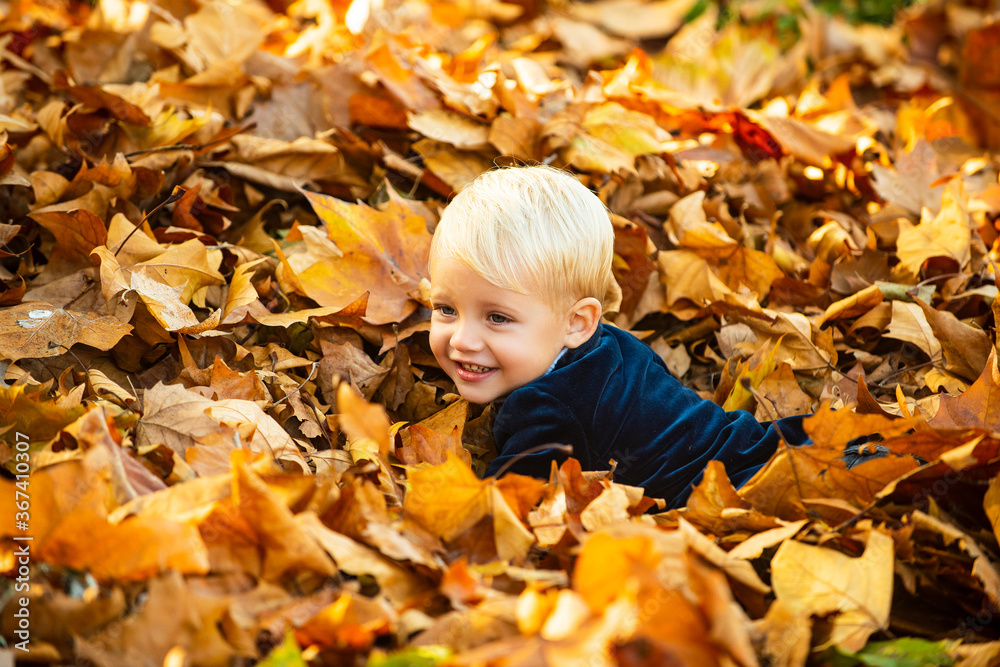 Kids in autumn park on yellow leaf background. Child lying on the golden leaf. Toddler boy in autumn park, autumnal mood. Kids in autumn park on yellow leaf background. Child lying on the golden leaf. Toddler boy in autumn park, autumnal mood.