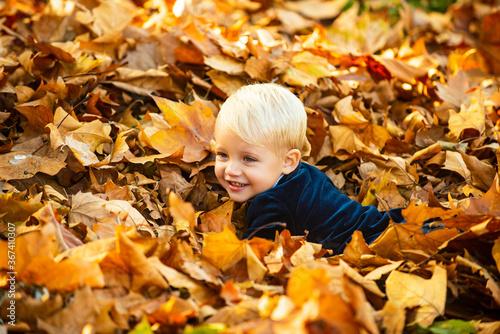 Kids in autumn park on yellow leaf background. Child lying on the golden leaf. Toddler boy in autumn park  autumnal mood.