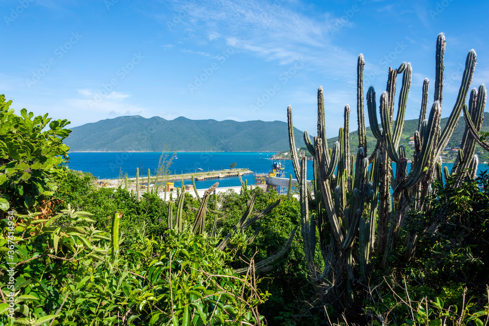 Arraial do Cabo, Brazil Aerial view of a paradise sea with clear water. Great landscape. Great beach scene. Vacation travel. Travel destination.