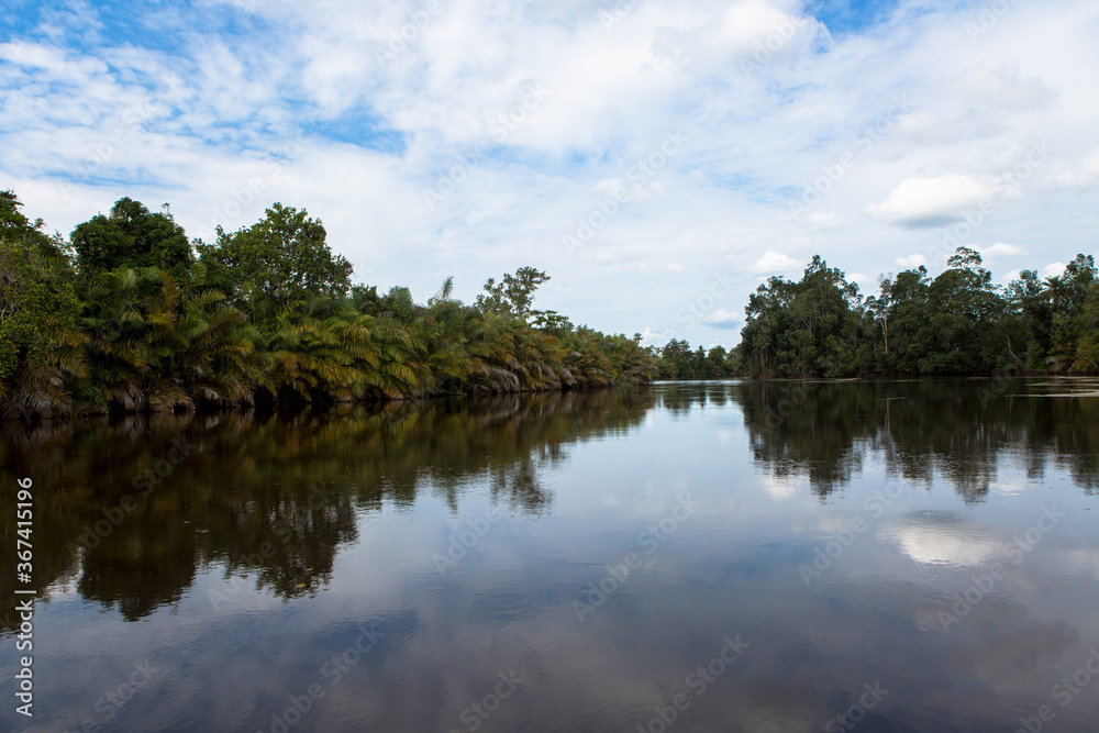 Mangrove, Bas-Congo, Parc des Mangroves, Monda, DRCongo Mangrove, Bas-Congo, Parc des Mangroves, Monda, DRCongo