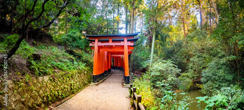 Japan. Kyoto. The Mountain Of Inariyama. The orange gates of Fushimi Inari Shrine. Fushimi Inari Taisha temple in Kyoto. The road to the gate of the temple of Fushimi Inari. Shinto. photo