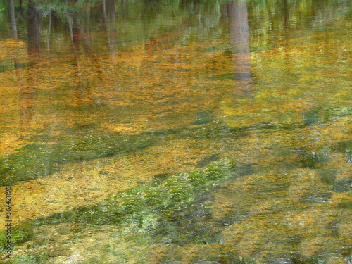 Beautiful Rum Island Spring with reflections of trees in the clear, colorful water of a natural spring at Rum Island Springs County Park, Fort White, Florida, on the Santa Fe River.