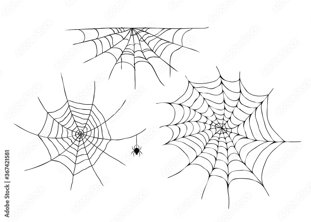 Hand drawn spider web and spider isolated on white background. Halloween design elements set.