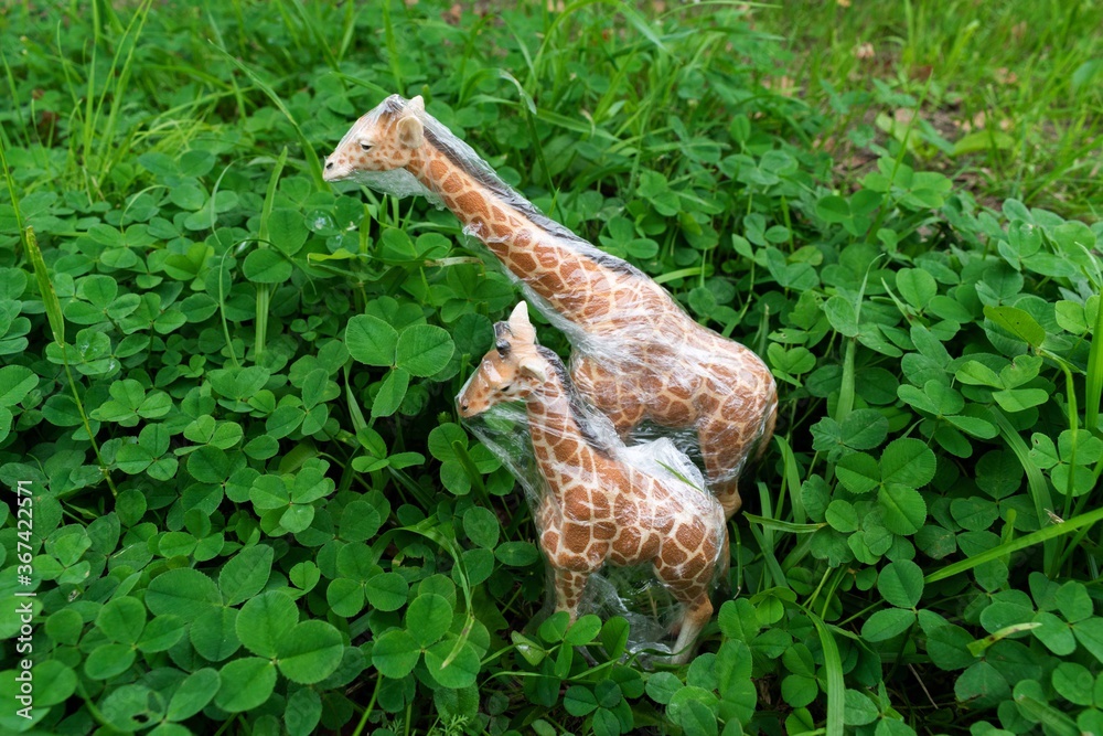 Giraffe is entangled in a plastic bag. Plastic animal concept.