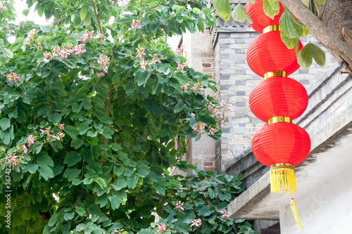 Decorative red lantern hanging on a tree with brick wall and bauhinia tree background,China photo