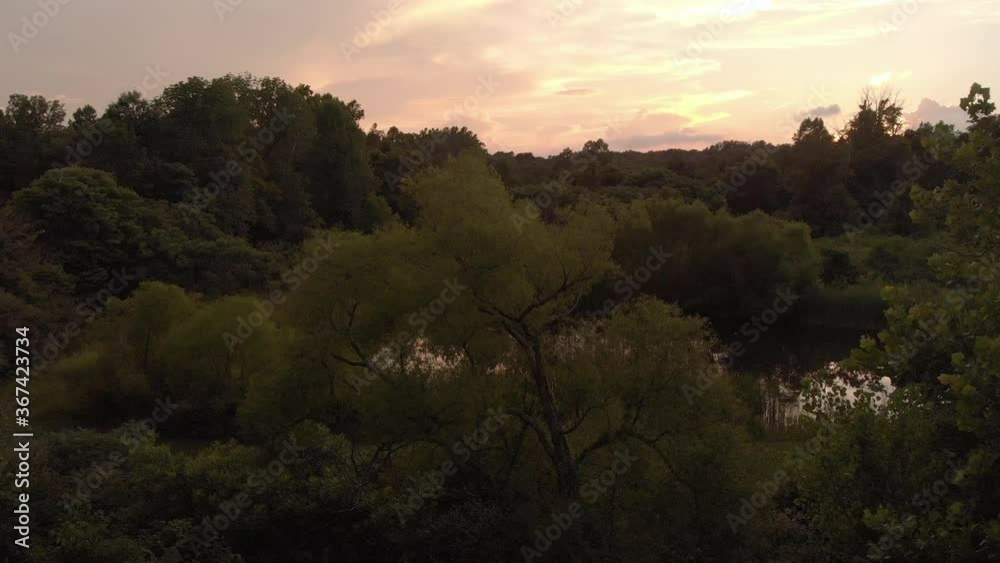 Drone shot though the tree's to show pond and sunset. Drone shot though the tree's to show pond and sunset.