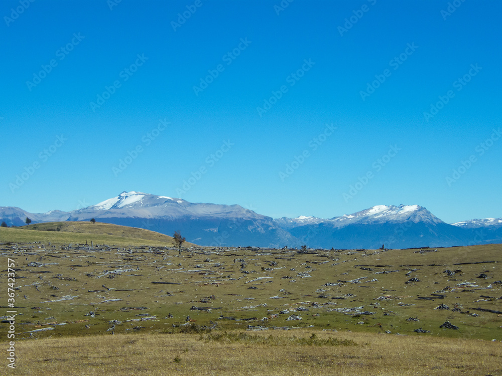 Deforestation in the Aysen Region in southern Chile Deforestation in the Aysen Region in southern Chile