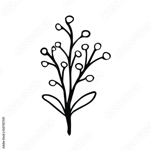 Sketch of a plant with berries. Vector isolated element for design. Doodle style.