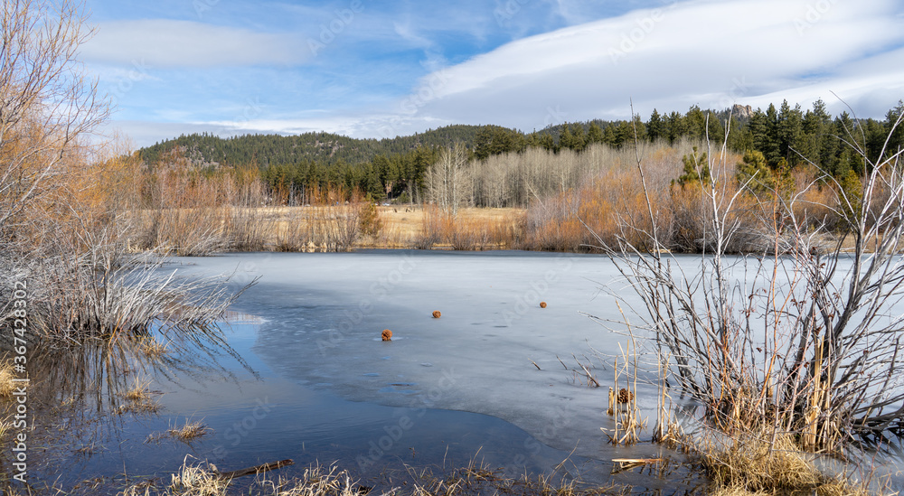 Frost covered pond near Stateline, Nevada