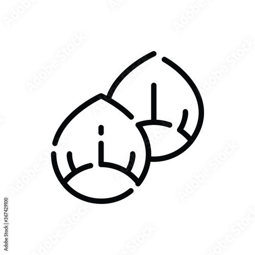 Nut, Chestnut Icon Logo Vector Isolated. Autumn Icon Set. Editable Stroke and Pixel Perfect.