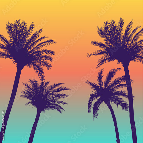 Silhouette palm coconut trees background