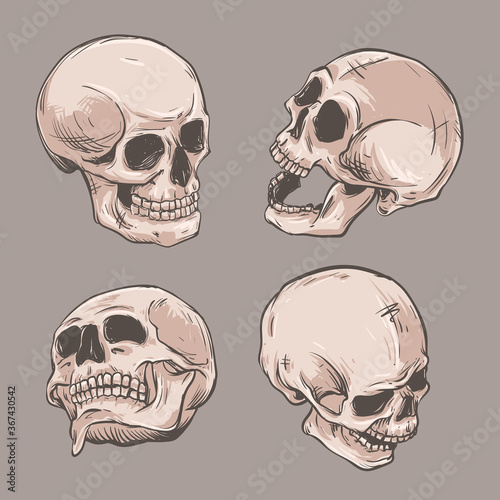 skull and crossbones