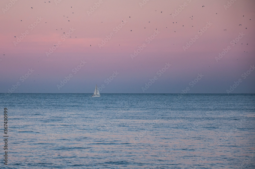 Fototapeta premium sailboat on the sea