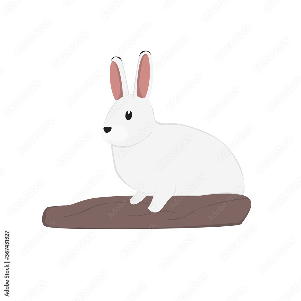 Obraz premium Arctic Hare Illustration