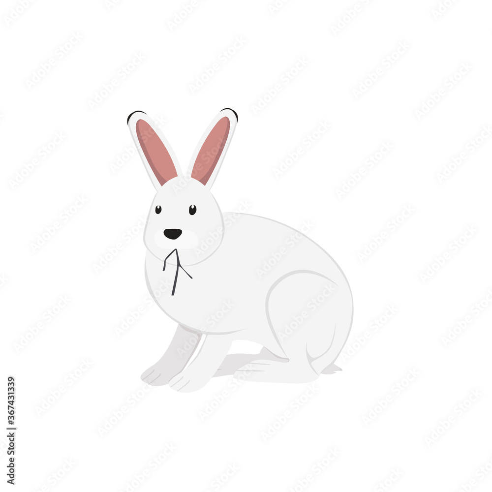 Arctic Hare Illustration