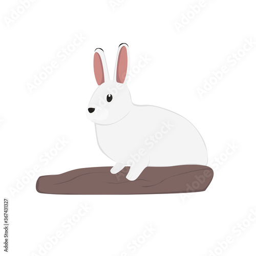 Arctic Hare Illustration