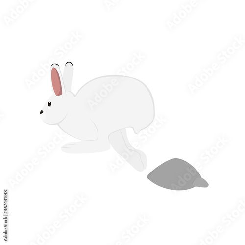 Arctic Hare Illustration