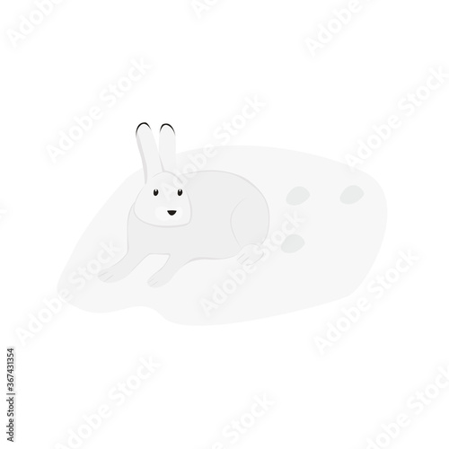 Arctic Hare Illustration