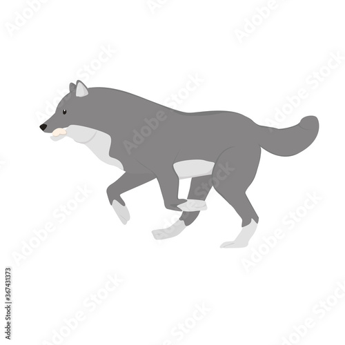 Wolf Illustration