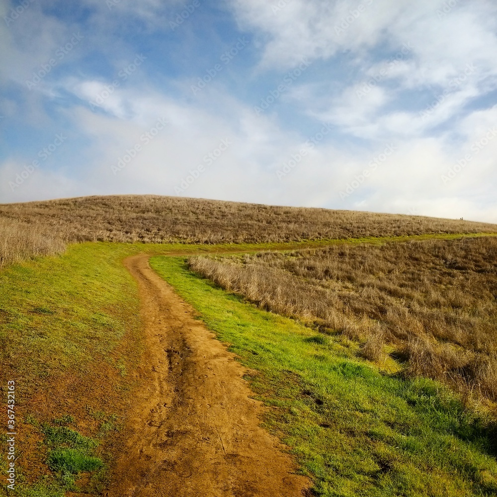 Path in the field Path in the field