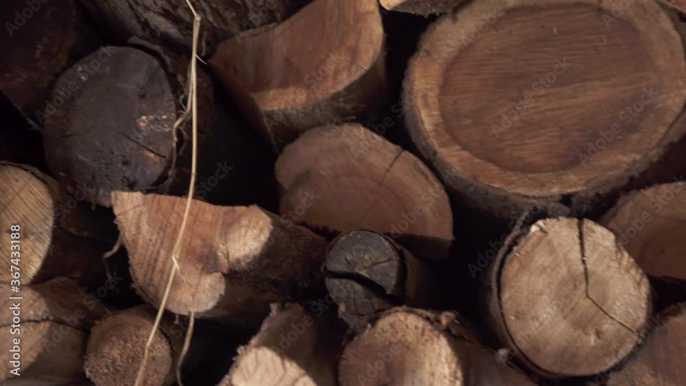 Woodpile - Cut Tree Logs Stacked In A Pile - close up panning shot Woodpile - Cut Tree Logs Stacked In A Pile - close up panning shot
