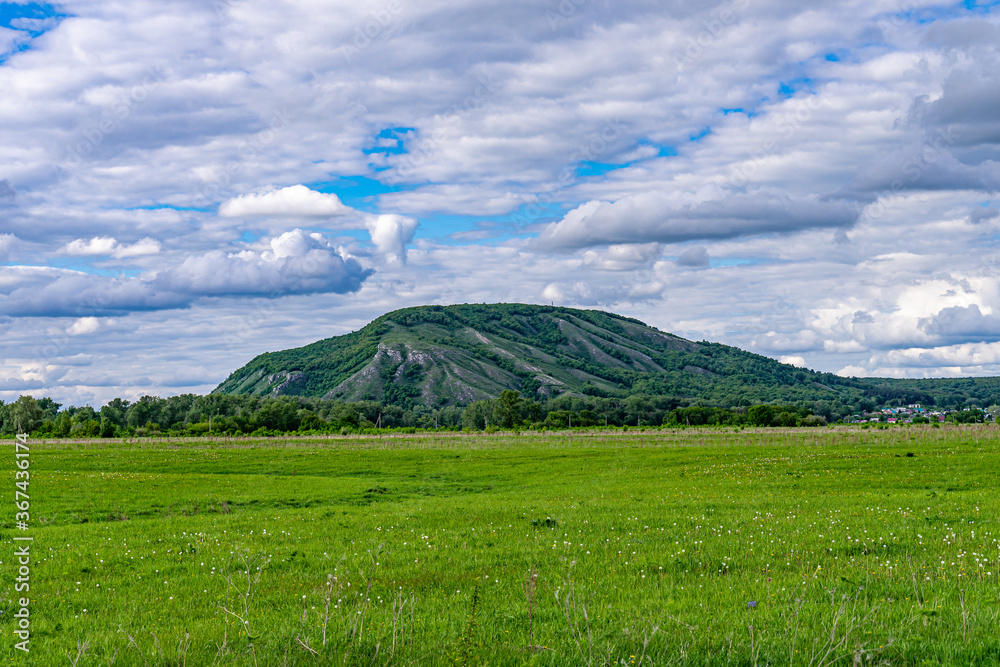 Obraz premium summer