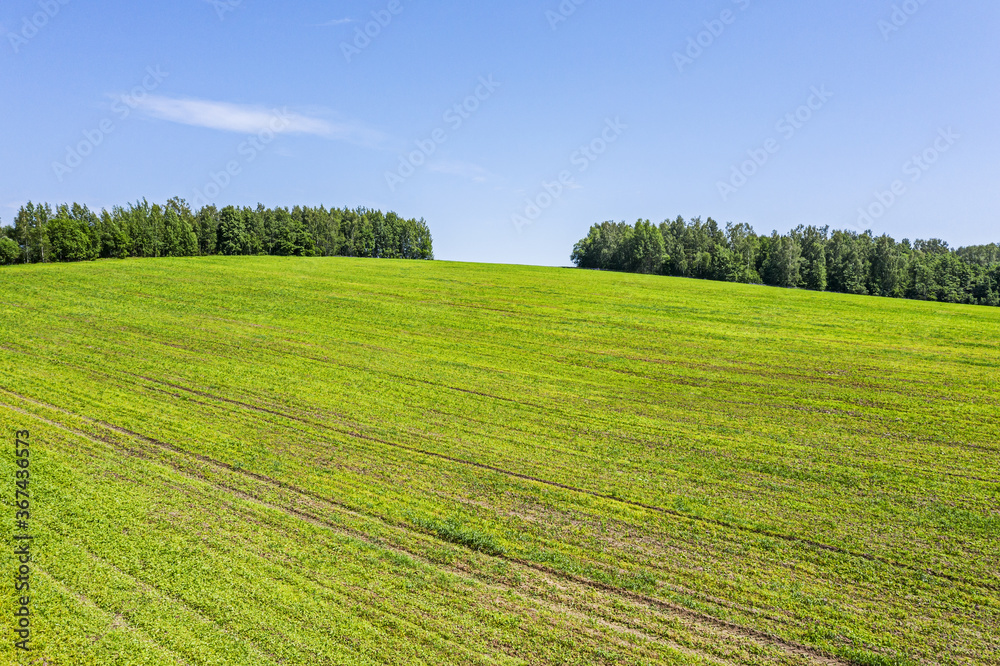 rural summer landscape with cultivated fields and green forest at sunny day. drone photography rural summer landscape with cultivated fields and green forest at sunny day. drone photography