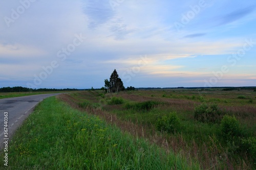 Landscape with rural July fields with a road