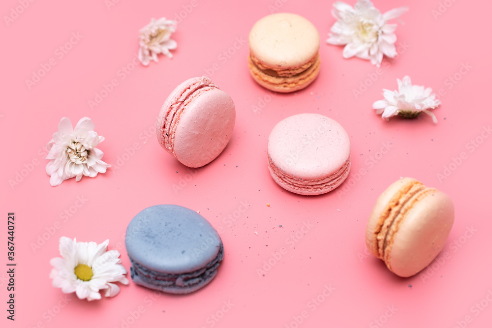 Fototapeta premium sweet delicious macaroons on a pink background with white daisies