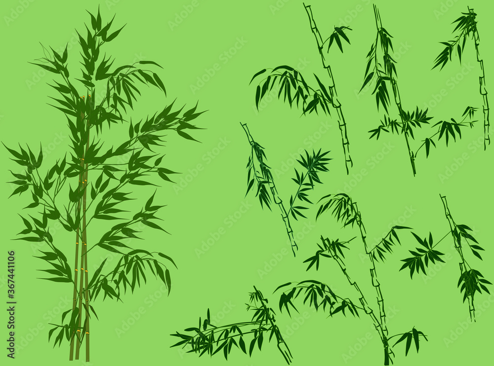large set of dark bamboo branches on green