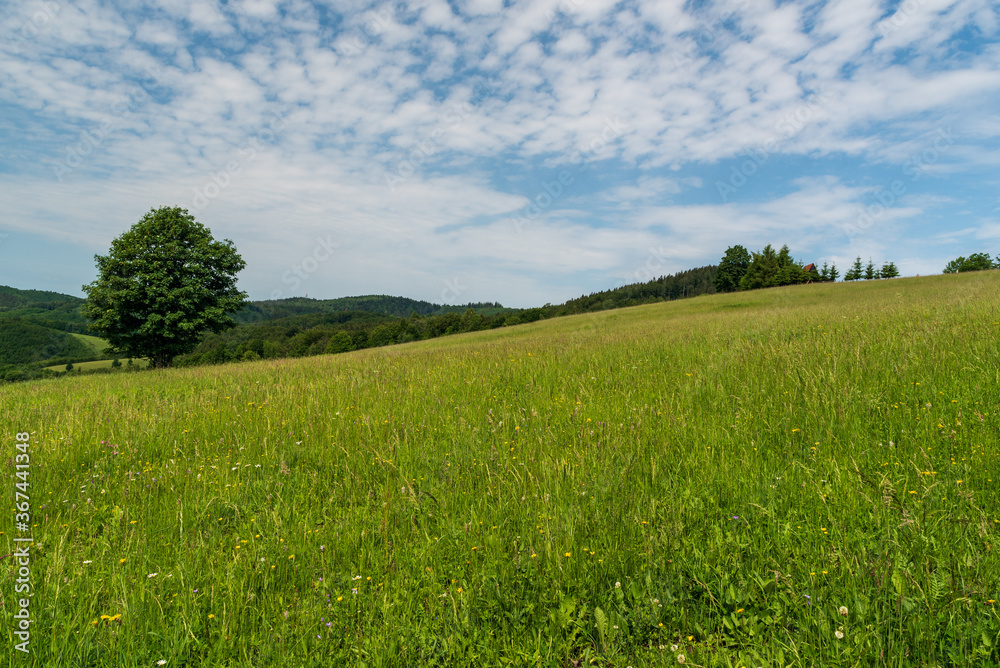 Fototapeta premium Beautiful Bile Karpaty mountains above Nedasova Lhota village on czech - slovakian borderlands with mix of meadows, trees and hills covered by forest