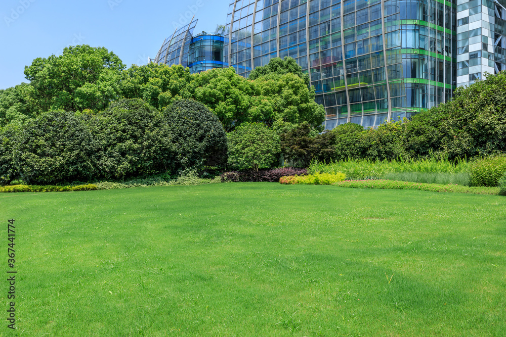 Green grass and modern commercial buildings in Shanghai,China.